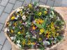 IMG-20180814-WA0000.jpg