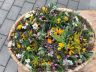 IMG-20180814-WA0001.jpg