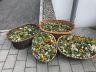IMG-20180814-WA0005.jpg