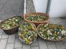 IMG-20180814-WA0006.jpg